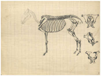 Visualizza l'immagine "FD Album 7, 10"